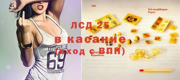 прущие грибы Нея
