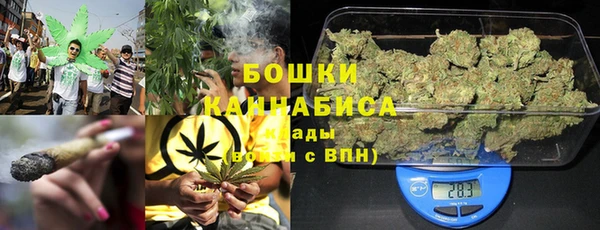 прущие грибы Нея