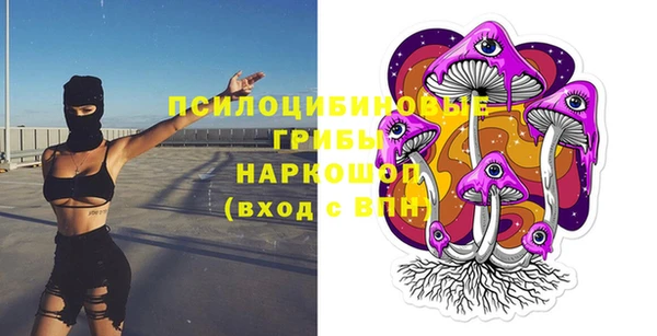 прущие грибы Нея