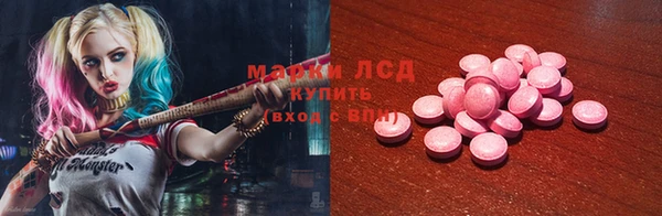прущие грибы Нея