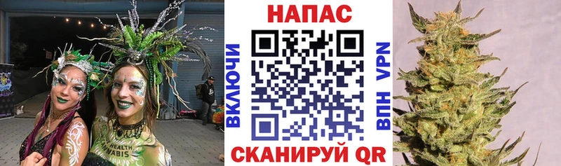 Бошки марихуана гибрид  цена наркотик  KRAKEN зеркало  Балаково 